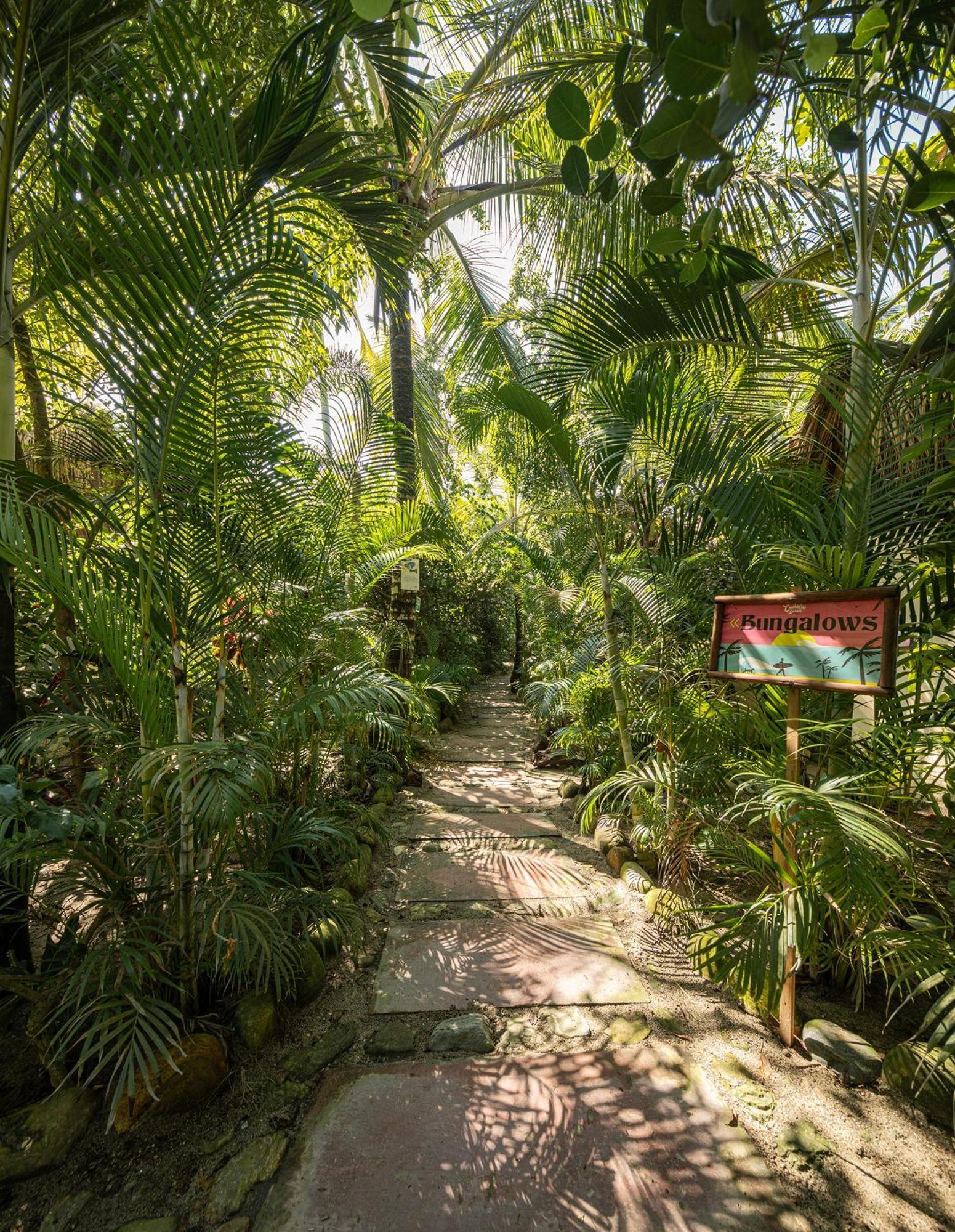 Costeno Beach Hotell Santa Marta  Eksteriør bilde